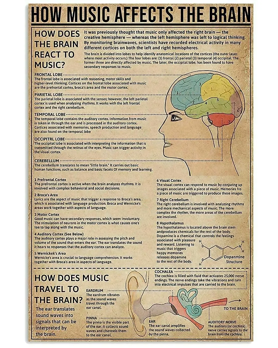 Veidsuh Cum Muzica Afecteaza Creierul Retro Poster Placa pentru Club Cafe Bar Bucătărie Acasă Decorare Perete . ' - ' . 0
