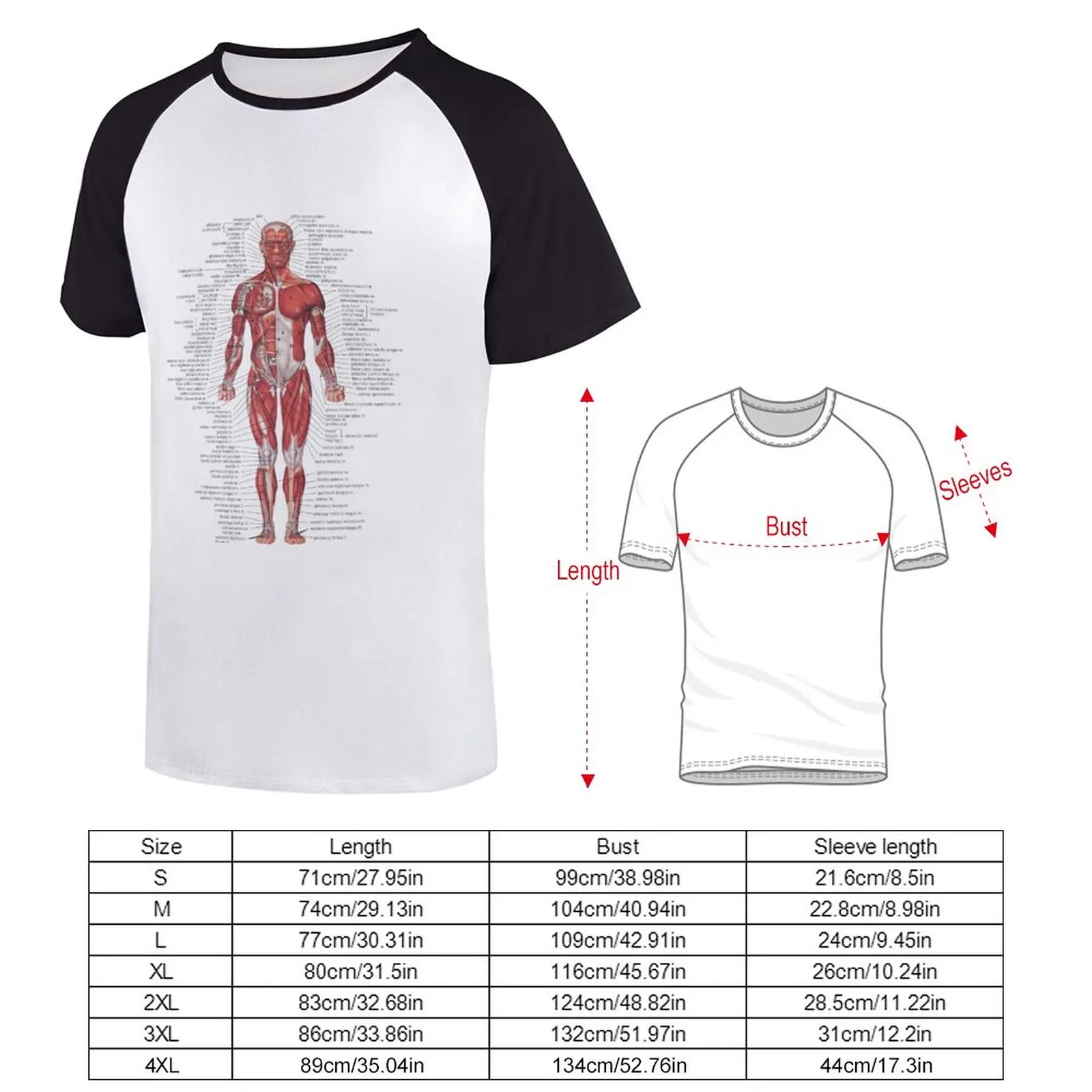 Sistemul Muscular al Corpului Uman T-Shirt haine drăguț tricou sublim t camasa barbati maneca lunga, tricouri . ' - ' . 1