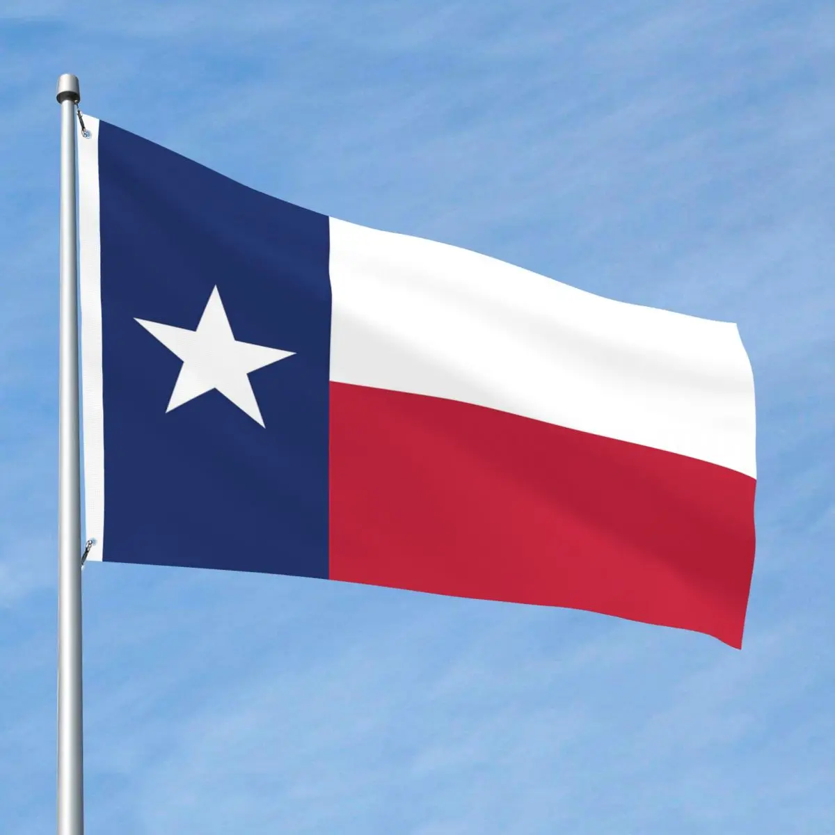 Texas Flag Versiune Autentică de Pavilion Gradina Pavilion Garnituri de Alama 2x3FT Pavilion față-Verso Pavilion . ' - ' . 1