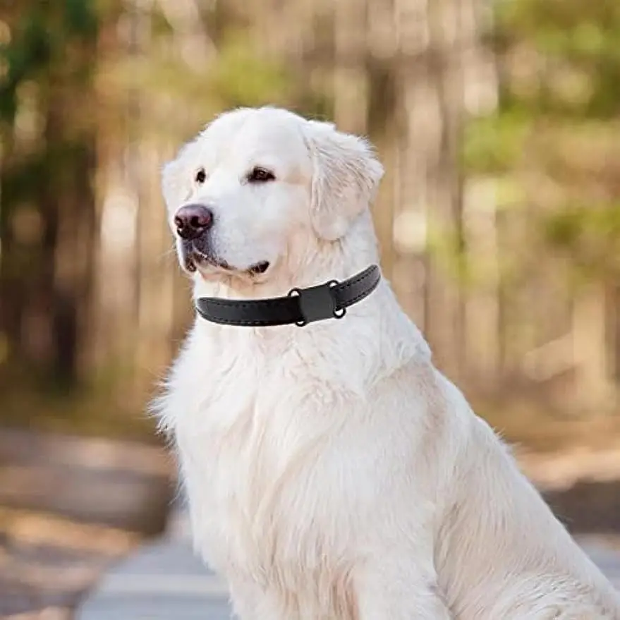 GPS Câine Tracker Zgarda Cu GPS Tracker pentru animale de Companie Impermeabil 4G Guler pentru animale de Companie Tracker Mini Câine de Urmărire GPS Portabil Dispozitive de Urmărire . ' - ' . 2