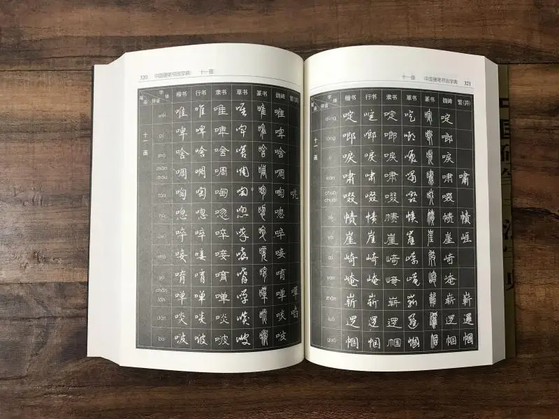 7000 de Cuvinte din China În Diferite fonturi Greu Stilou Caligrafie Writng Dicționar Cartea 584 pagini . ' - ' . 3