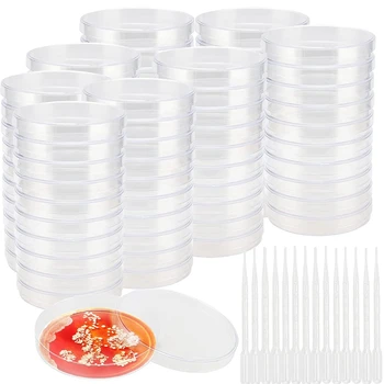 80 Pack 90MM Plastic plăci Petri Cu Capace de Sticlă Petri Feluri de mâncare Cu 200 De Plastic de Transfer de Pipete(3ML)