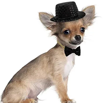 Amuzant Animale De Companie Pălărie Fantezie Jazz Pălăria Pălăria Costum Accesorii Foto Elemente De Recuzită Pentru Pisică Câine Cățeluș Pălărie Capac De Companie Costume Cosplay