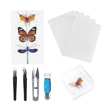 Face Insecta Instrumente Kit,Înțepături De Ace,Insecte Fixarea Bord, Aripi Presare Hârtie,Pensete, Foarfece, Vitrină