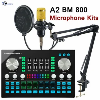 Profesionale A2 LIVE placa de Sunet de Înregistrare Interfață Mixer Cu Înregistrare Microfon Desktop U 87 Pentru Podcasting