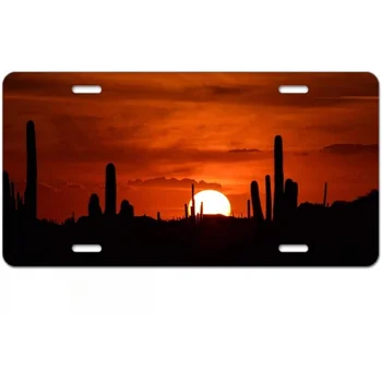 Saguaro Cactus Arizona Apus Față de Înmatriculare Acoperi Peisaj Peisaj Natura Decorative de Înmatriculare pentru o Mașină 6x12 În