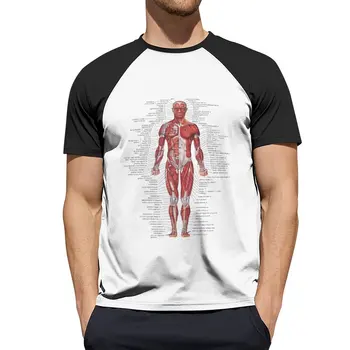 Sistemul Muscular al Corpului Uman T-Shirt haine drăguț tricou sublim t camasa barbati maneca lunga, tricouri