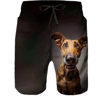 Vara Noi Harajuku 3D Drăguț Câine de Imprimare Barbati Casual pantaloni Scurți de Plajă Bărbați Confortabil Respirabil Sport de Agrement pantaloni Scurți Om